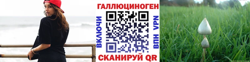 Псилоцибиновые грибы Cubensis  Дюртюли 
