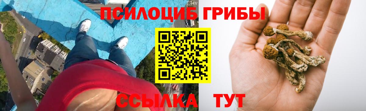 Дюртюли  Галлюциногенные грибы Psilocybine cubensis  Вход с VPN 